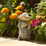 15x9-turtle-holding-large-solar-flower-grey-mult-12
