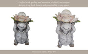 15x9-turtle-holding-large-solar-flower-grey-mult-14