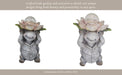 15x9-turtle-holding-large-solar-flower-grey-mult-14