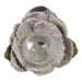 15x9-turtle-holding-large-solar-flower-grey-mult-6