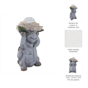 15x9-turtle-holding-large-solar-flower-grey-mult-9