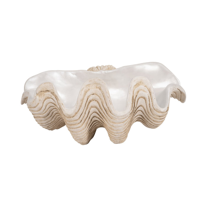 16-pearlized-clam-shell-bowl-ivory-1
