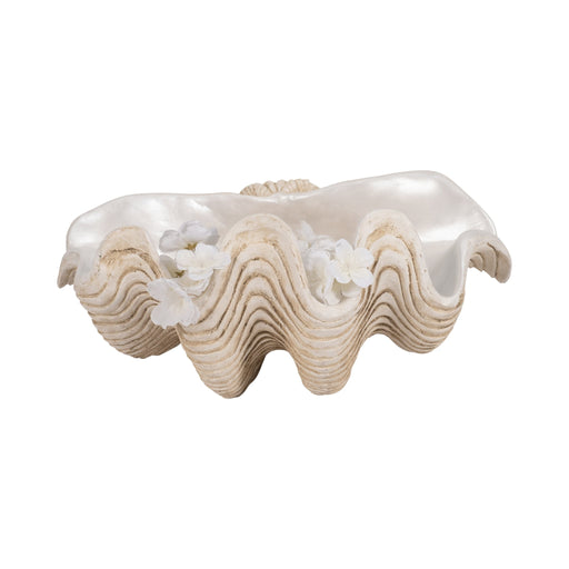 16-pearlized-clam-shell-bowl-ivory-2