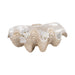 16-pearlized-clam-shell-bowl-ivory-2