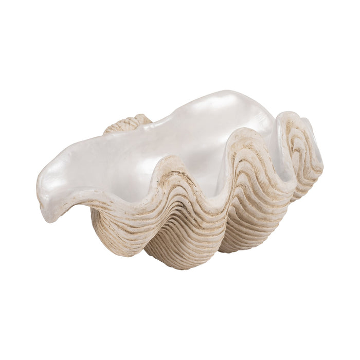16-pearlized-clam-shell-bowl-ivory-3