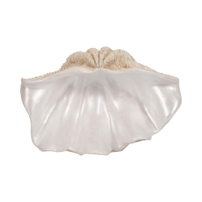 16-pearlized-clam-shell-bowl-ivory-6