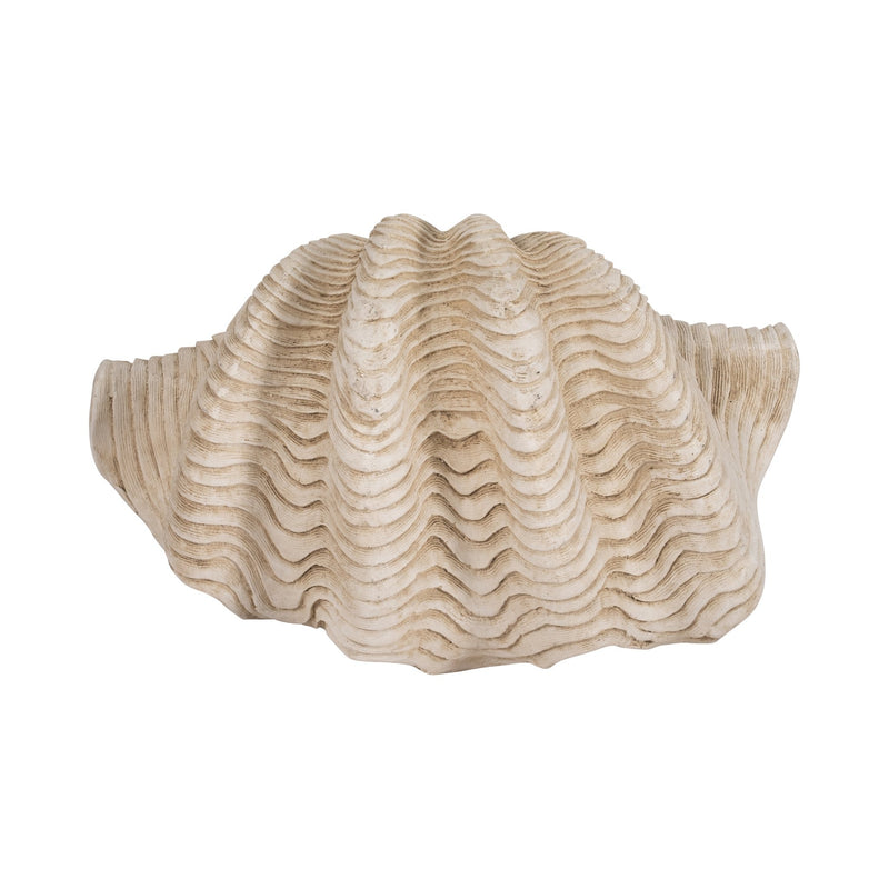 16-pearlized-clam-shell-bowl-ivory-7