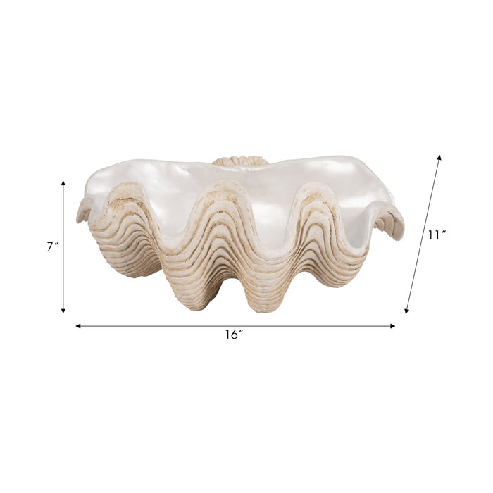 16-pearlized-clam-shell-bowl-ivory-8