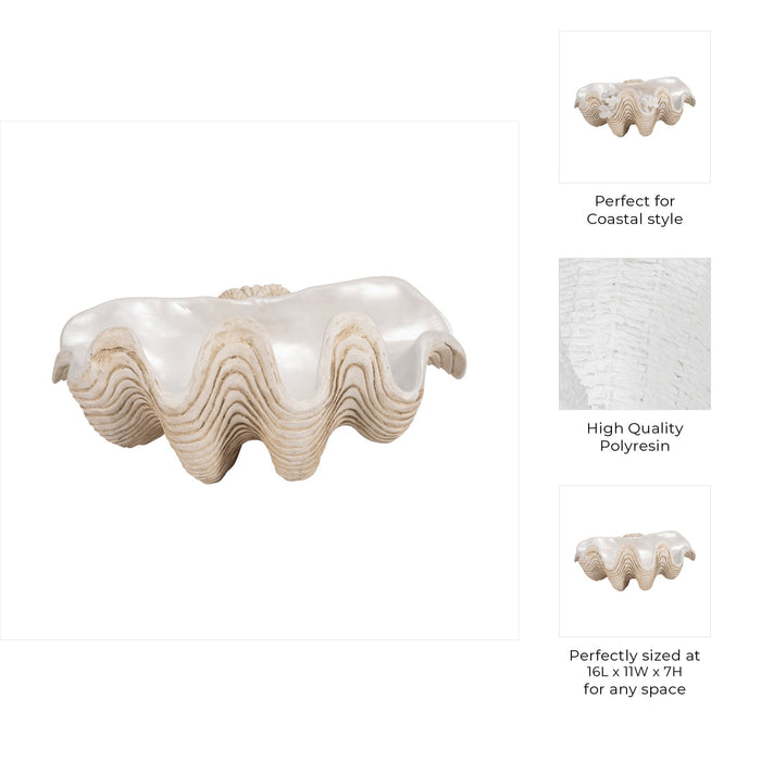 16-pearlized-clam-shell-bowl-ivory-9