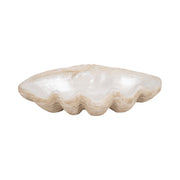 16-pearlized-shell-bowl-ivory-1