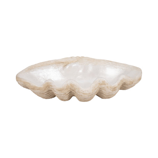 16-pearlized-shell-bowl-ivory-1