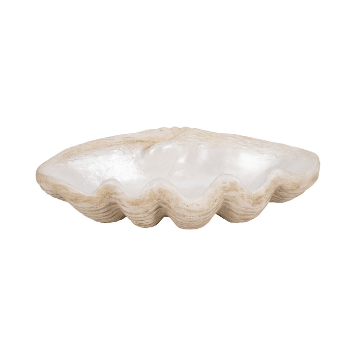 16-pearlized-shell-bowl-ivory-1