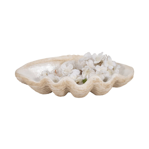 16-pearlized-shell-bowl-ivory-2