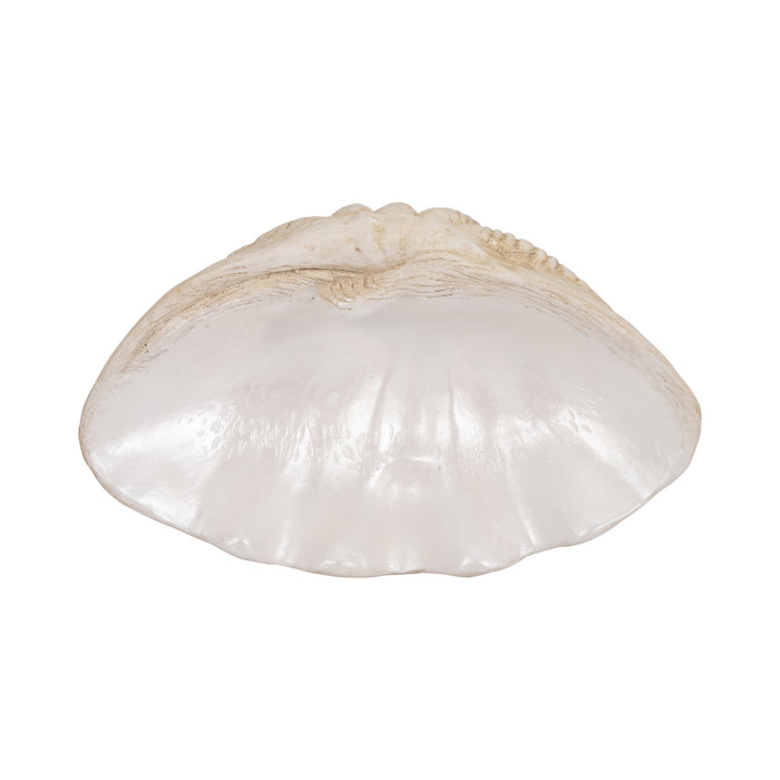 16-pearlized-shell-bowl-ivory-6