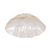 16-pearlized-shell-bowl-ivory-6