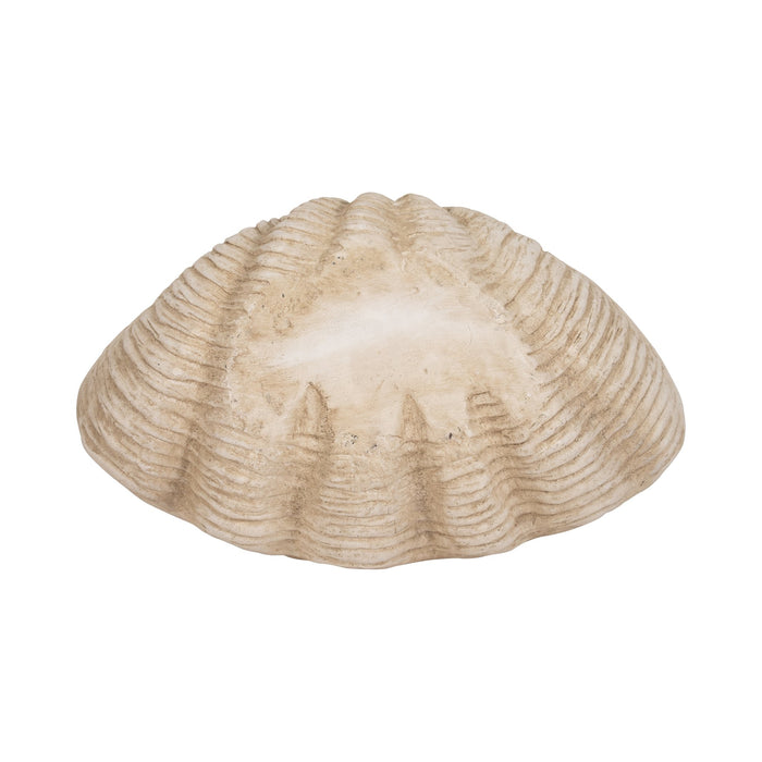 16-pearlized-shell-bowl-ivory-7