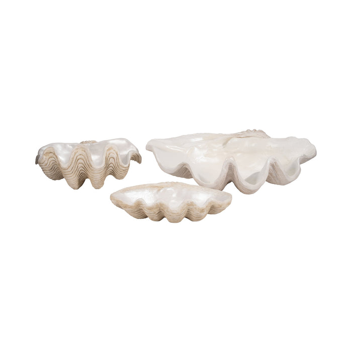 16-pearlized-shell-bowl-ivory-8