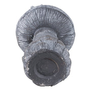 16x10-garden-mushroom-with-solar-grey-multi-8