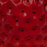 17-strawberry-garden-stool-red-6
