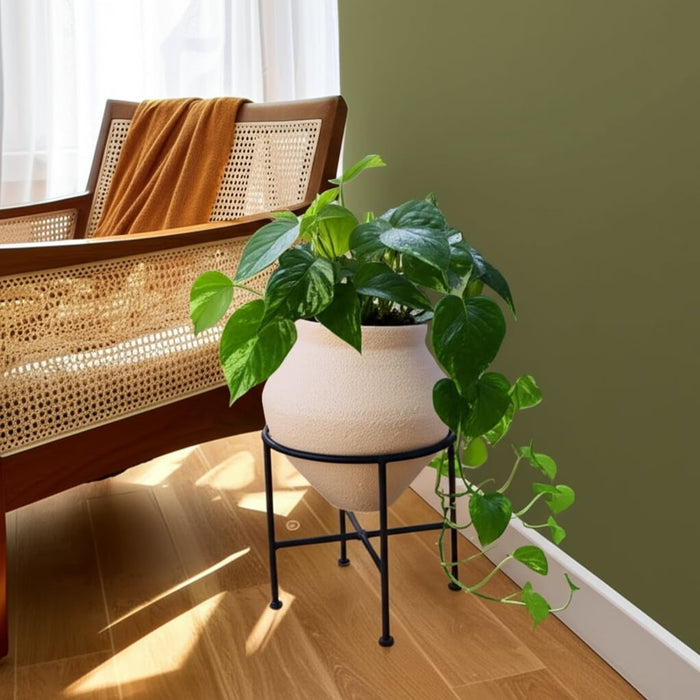 17x13-terracotta-pot-in-metal-stand-ivory-black-12