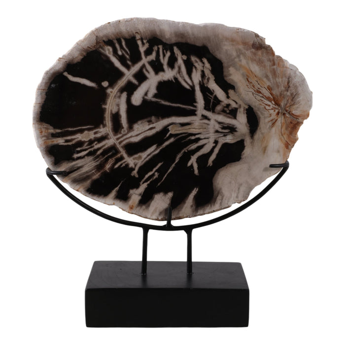 17x14-petrified-wood-disc-on-stand-black-brown-1