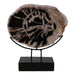 17x14-petrified-wood-disc-on-stand-black-brown-1