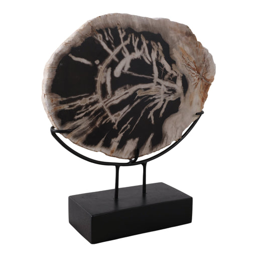 17x14-petrified-wood-disc-on-stand-black-brown-2