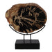 17x14-petrified-wood-disc-on-stand-black-brown-4