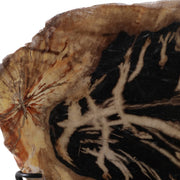 17x14-petrified-wood-disc-on-stand-black-brown-6