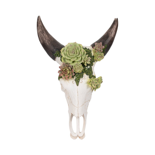 18-bull-skull-with-succulents-multi-1