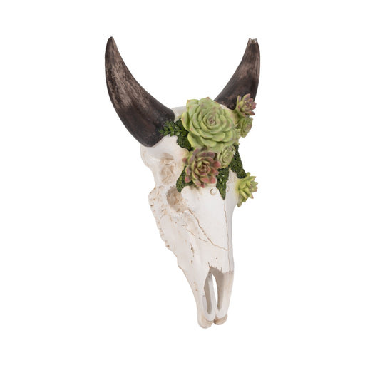 18-bull-skull-with-succulents-multi-2