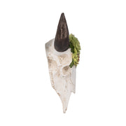 18-bull-skull-with-succulents-multi-3