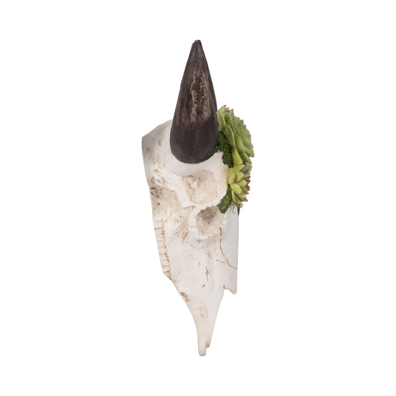 18-bull-skull-with-succulents-multi-3