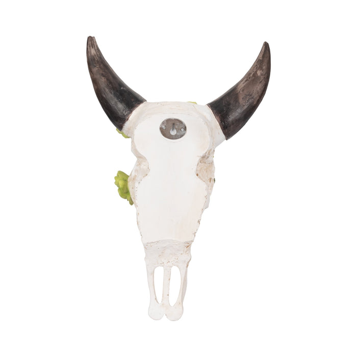 18-bull-skull-with-succulents-multi-5