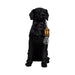 18-dog-holding-lightbulb-table-lamp-black-gold-1