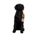 18-dog-holding-lightbulb-table-lamp-black-gold-2