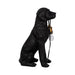 18-dog-holding-lightbulb-table-lamp-black-gold-4