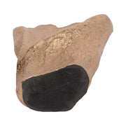 18-organic-edge-metal-vase-champagne-7