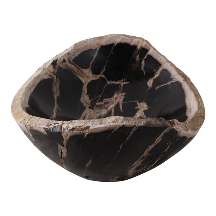18-petrified-wood-oval-bowl-multi-3