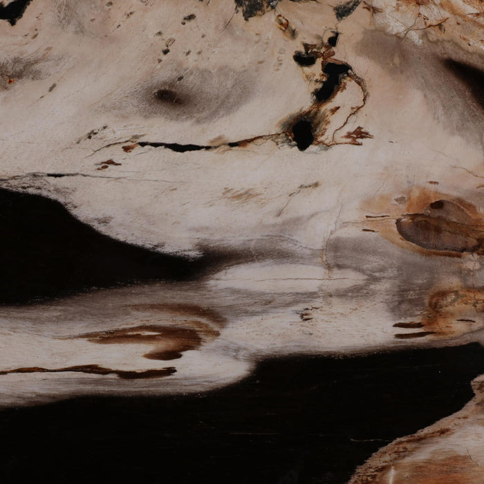 18-petrified-wood-top-accent-table-dimple-base-8