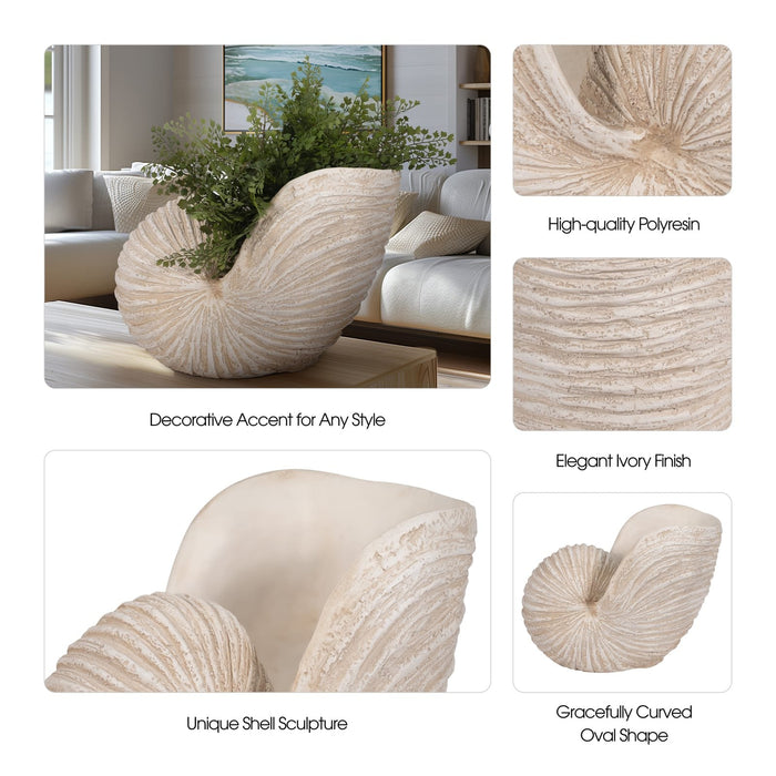 18-shell-sculpture-ivory-10