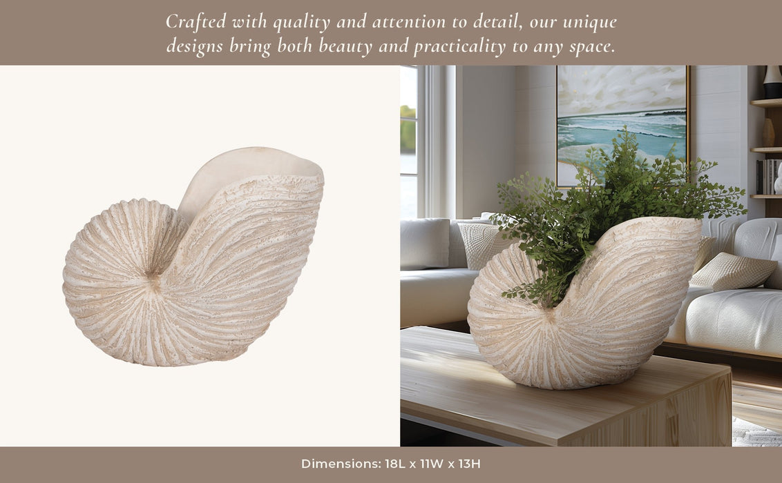 18-shell-sculpture-ivory-12