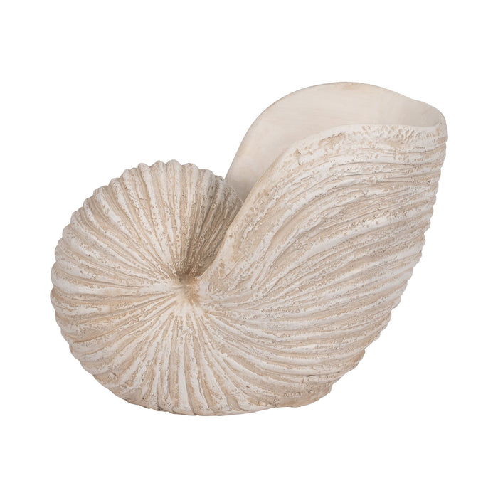 18-shell-sculpture-ivory-1