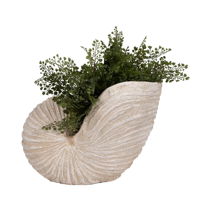 18-shell-sculpture-ivory-2