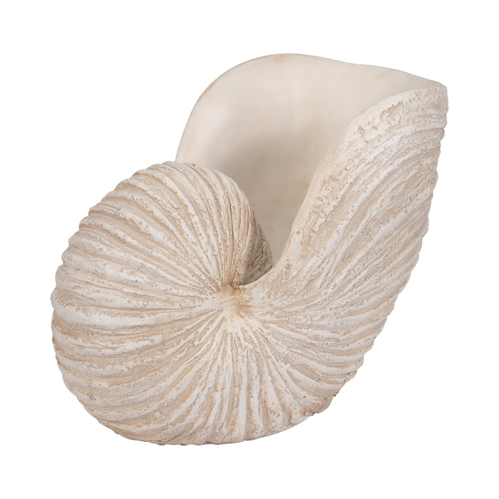 18-shell-sculpture-ivory-3
