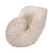 18-shell-sculpture-ivory-3