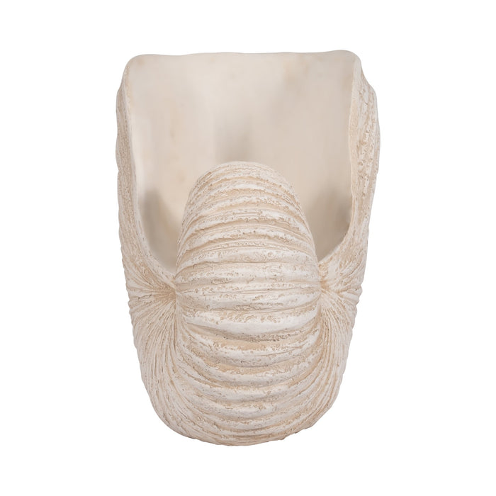 18-shell-sculpture-ivory-4