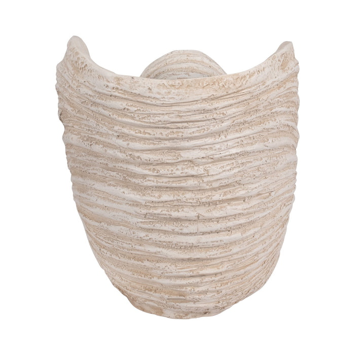 18-shell-sculpture-ivory-5