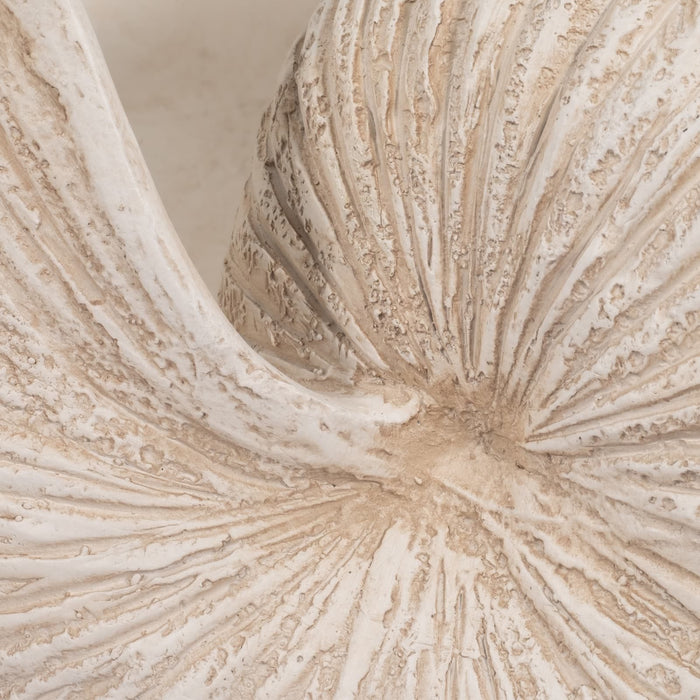 18-shell-sculpture-ivory-6