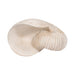18-shell-sculpture-ivory-7